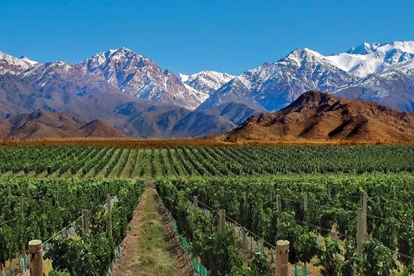 Mendoza (vino y montaña)